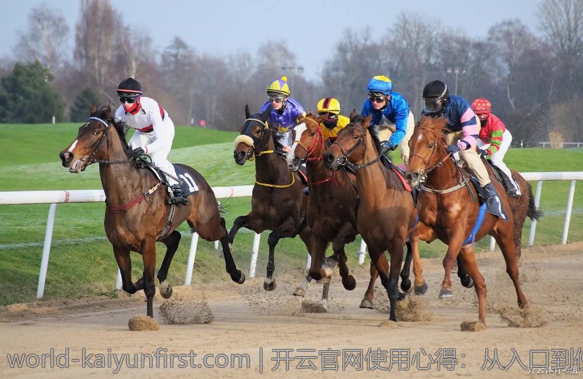 开云官网使用心得：从入口到使用的全方位体验