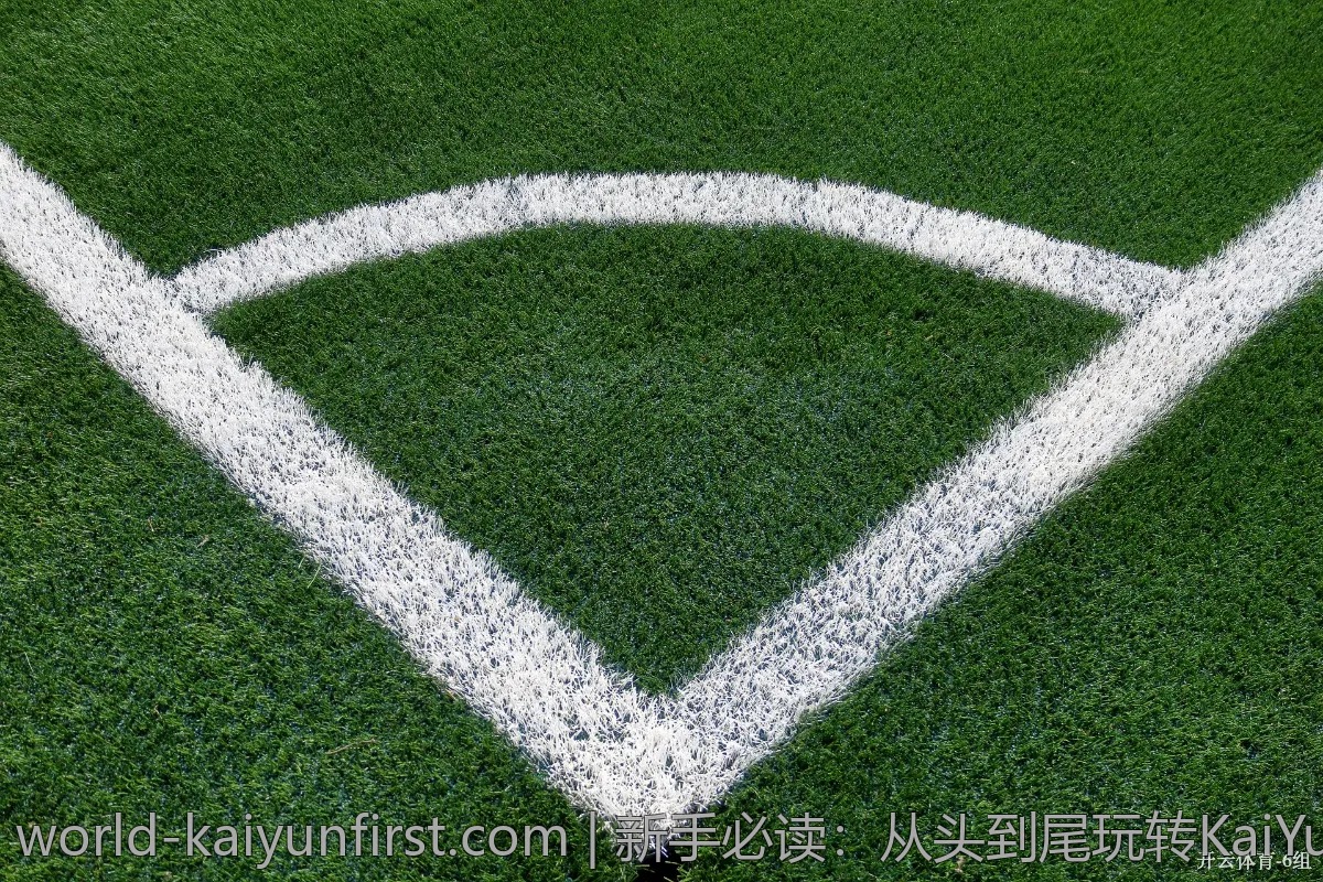 新手必读：从头到尾玩转KaiYun体育